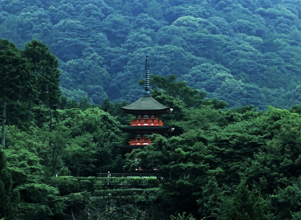 pagoda, japan, forest-2627307.jpg